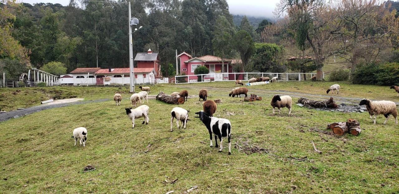 Casa Campo Yurt 1 Gengiscan tenda mongólica wifi Urubici Bagian luar foto